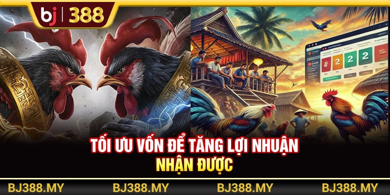 Mẹo Cá Cược Và Chọn Kèo Đá Gà Cực Chất Từ Nhà Cái BJ388 3 https://wagdata.sa.com Tối ưu vốn để tăng lợi nhuận nhận được