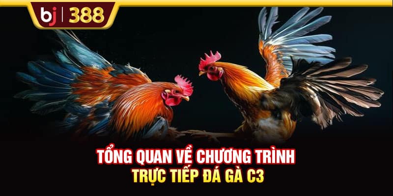 Trực Tiếp Đá Gà C3 Hôm Nay Tốc Độ Cao, Hình Ảnh Full HD 2 https://wagdata.sa.com Tổng quan về chương trình trực tiếp đá gà C3