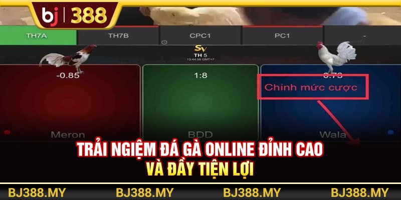 Trải Nghiệm Đá Gà Online BJ388 Đỉnh Cao Và Đầy Tiện Lợi 1 https://wagdata.sa.com Trải Nghiệm Đá Gà Online BJ388 Đỉnh Cao Và Đầy Tiện Lợi