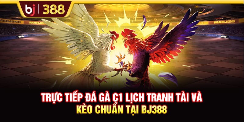 Trực Tiếp Đá Gà C1 Lịch Tranh Tài Và Kèo Chuẩn Tại BJ388 1 https://wagdata.sa.com Trực Tiếp Đá Gà C1 Lịch Tranh Tài Và Kèo Chuẩn Tại BJ388
