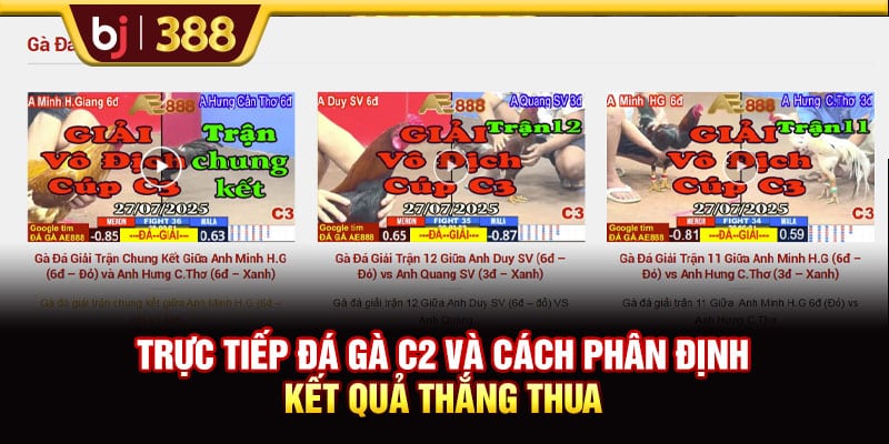 Trực Tiếp Đá Gà C2 Với Các Trận Đấu Thu Hút Và Kịch Tính 3 https://wagdata.sa.com Trực tiếp đá gà C2 và cách phân định kết quả thắng thua