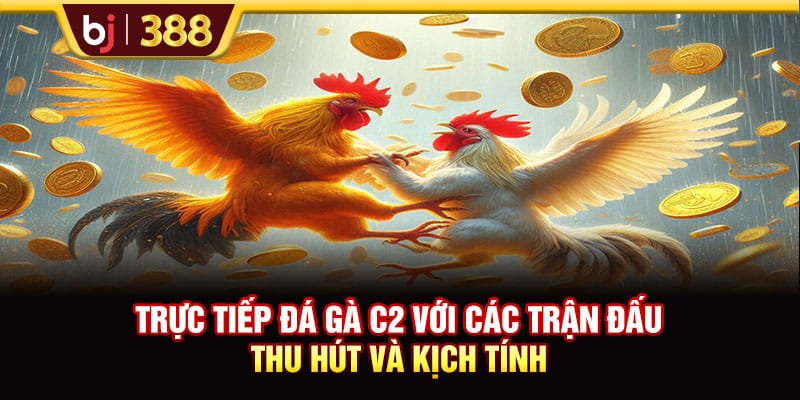 Trực Tiếp Đá Gà C2 Với Các Trận Đấu Thu Hút Và Kịch Tính 1 https://wagdata.sa.com Trực Tiếp Đá Gà C2 Với Các Trận Đấu Thu Hút Và Kịch Tính