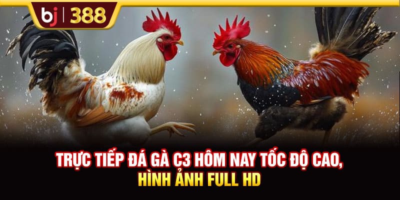 Trực Tiếp Đá Gà C3 Hôm Nay Tốc Độ Cao, Hình Ảnh Full HD 1 https://wagdata.sa.com Trực Tiếp Đá Gà C3 Hôm Nay Tốc Độ Cao, Hình Ảnh Full HD