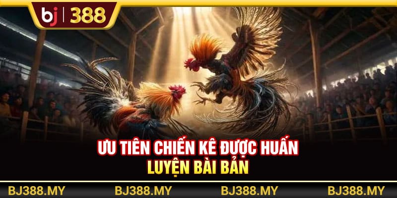Bí Quyết Soi Kèo Đá Gà BJ388 Tăng Tỷ Lệ Thắng Nhanh Chóng 4 https://wagdata.sa.com Ưu tiên cược vào các chiến kê có sức mạnh tốt
