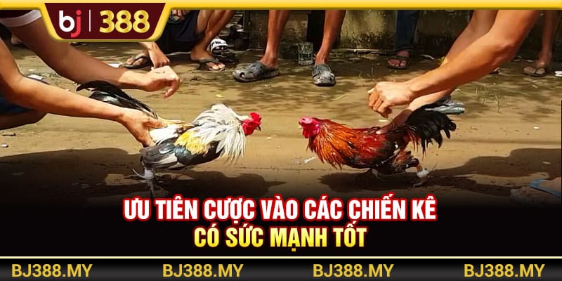 Chọn Gà Cựa Sắt BJ388 - Bí Quyết Chiến Thắng Cho Thành Viên 3 https://wagdata.sa.com Ưu tiên chiến kê được huấn luyện bài bản