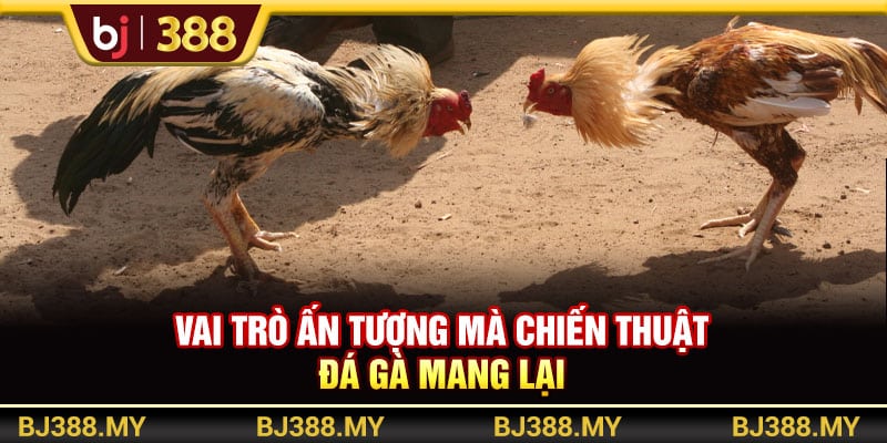 Các Chiến Thuật Đá Gà Hay Và Hiệu Quả Từ Chuyên Gia BJ388 2 https://wagdata.sa.com Vai trò ấn tượng mà chiến thuật đá gà mang lại