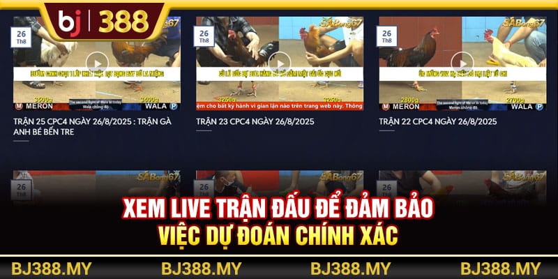 Bí Quyết Soi Kèo Đá Gà BJ388 Tăng Tỷ Lệ Thắng Nhanh Chóng 3 https://wagdata.sa.com Xem live trận đấu để đảm bảo việc dự đoán chính xác