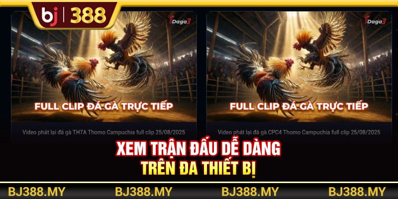 Xem Đá Gà BJ388 - Nền Tảng Đá Gà Trực Tuyến Chuyên Nghiệp 3 https://wagdata.sa.com Xem trận đấu dễ dàng trên đa thiết bị