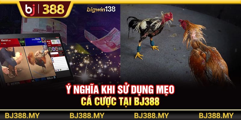 Mẹo Cá Cược Và Chọn Kèo Đá Gà Cực Chất Từ Nhà Cái BJ388 2 https://wagdata.sa.com Ý nghĩa khi sử dụng mẹo cá cược tại BJ388