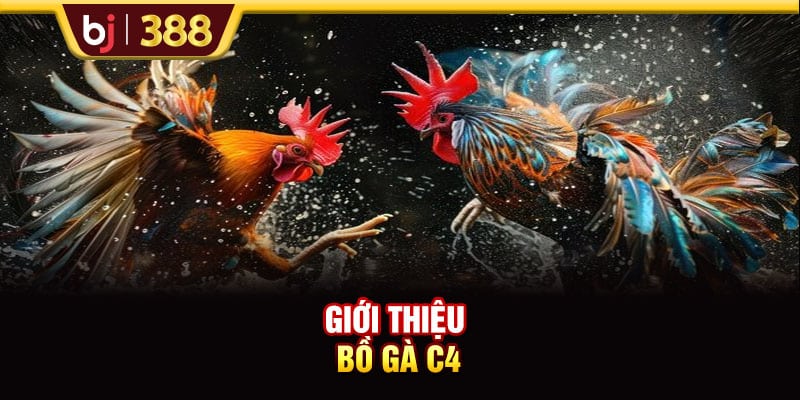 Lịch Trực Tiếp Đá Gà C4 BJ388 Hôm Nay Và Dự Đoán Từ Chuyên Gia 2 https://wagdata.sa.com Giới thiệu bồ gà C4