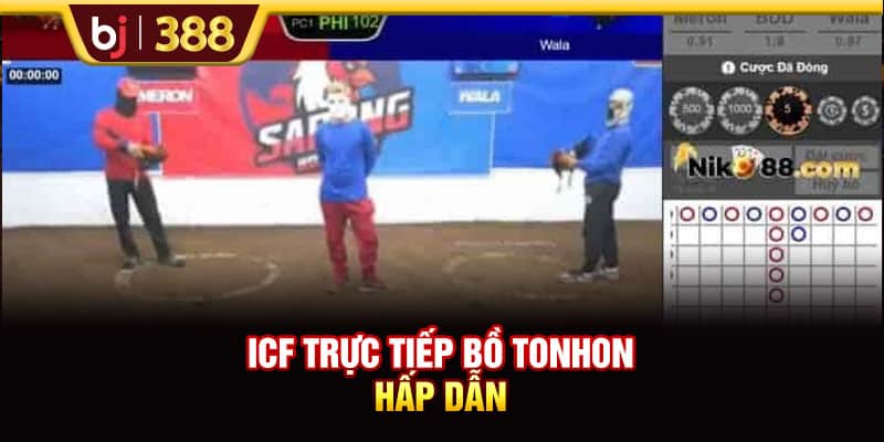 BJ388 Chia Sẻ 3 Địa Chỉ Trực Tiếp Bồ Tonhon Chất Lượng Bạn Nên Biết 3 https://wagdata.sa.com ICF trực tiếp bồ Tonhon hấp dẫn