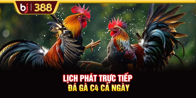 Lịch Trực Tiếp Đá Gà C4 BJ388 Hôm Nay Và Dự Đoán Từ Chuyên Gia 3 https://wagdata.sa.com Lịch phát trực tiếp đá gà C4 cả ngày