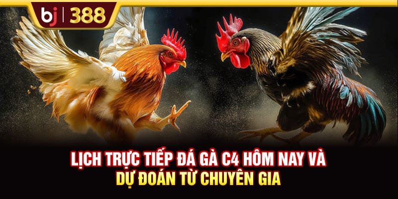 Lịch Trực Tiếp Đá Gà C4 BJ388 Hôm Nay Và Dự Đoán Từ Chuyên Gia 1 https://wagdata.sa.com Lịch Trực Tiếp Đá Gà C4 Sabong67 Hôm Nay Và Dự Đoán Từ Chuyên Gia