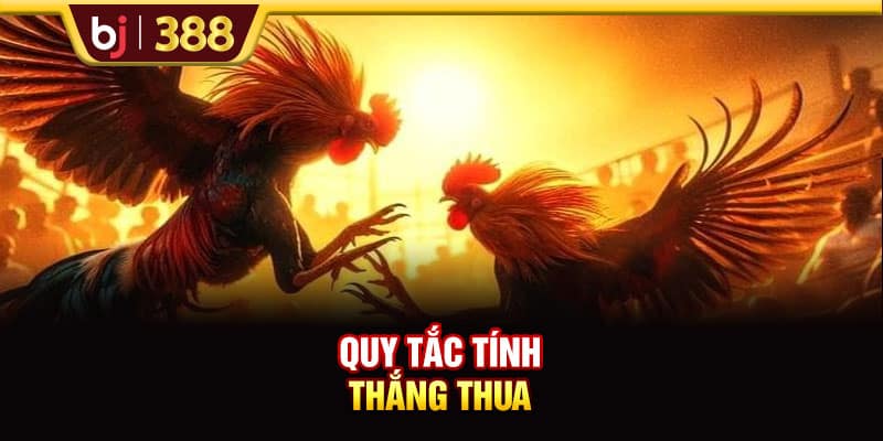 Trải Nghiệm Trực Tiếp Đá Gà C5 Cùng Các Trận Đấu Nảy Lửa 3 https://wagdata.sa.com Quy tắc tính thắng thua