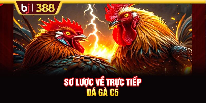 Trải Nghiệm Trực Tiếp Đá Gà C5 Cùng Các Trận Đấu Nảy Lửa 2 https://wagdata.sa.com Sơ lược về trực tiếp đá gà C5