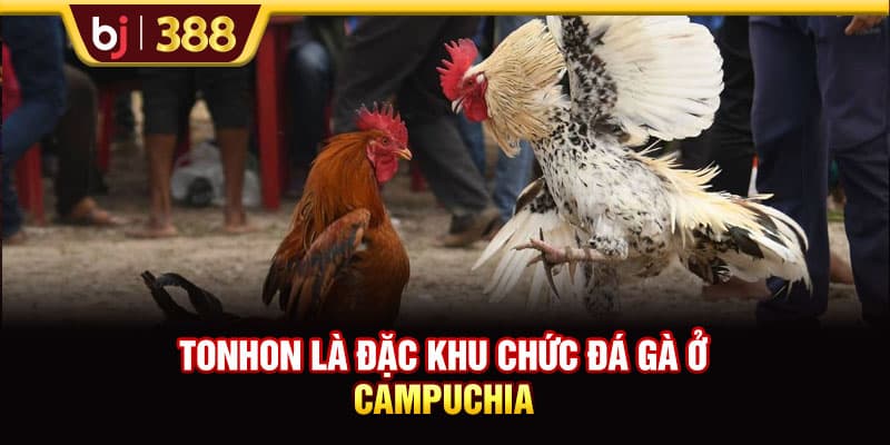 BJ388 Chia Sẻ 3 Địa Chỉ Trực Tiếp Bồ Tonhon Chất Lượng Bạn Nên Biết 2 https://wagdata.sa.com Tonhon là đặc khu chức đá gà ở Campuchia