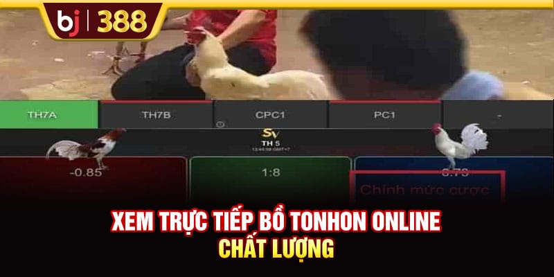 BJ388 Chia Sẻ 3 Địa Chỉ Trực Tiếp Bồ Tonhon Chất Lượng Bạn Nên Biết 4 https://wagdata.sa.com Xem trực tiếp bồ Tonhon online chất lượng