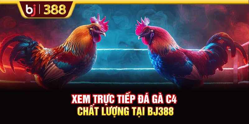 Lịch Trực Tiếp Đá Gà C4 BJ388 Hôm Nay Và Dự Đoán Từ Chuyên Gia 4 https://wagdata.sa.com Xem trực tiếp đá gà C4 chất lượng tại BJ388